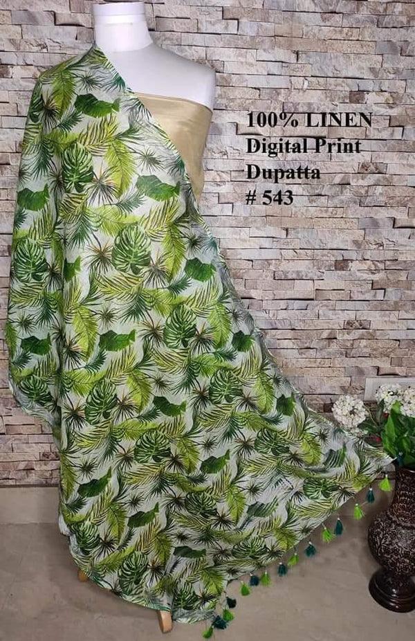 Pure Linen Digital Print Dupatta